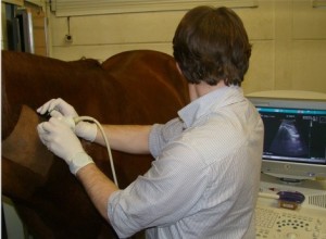 FotovanORTHOPEDISCHONDERZOEK