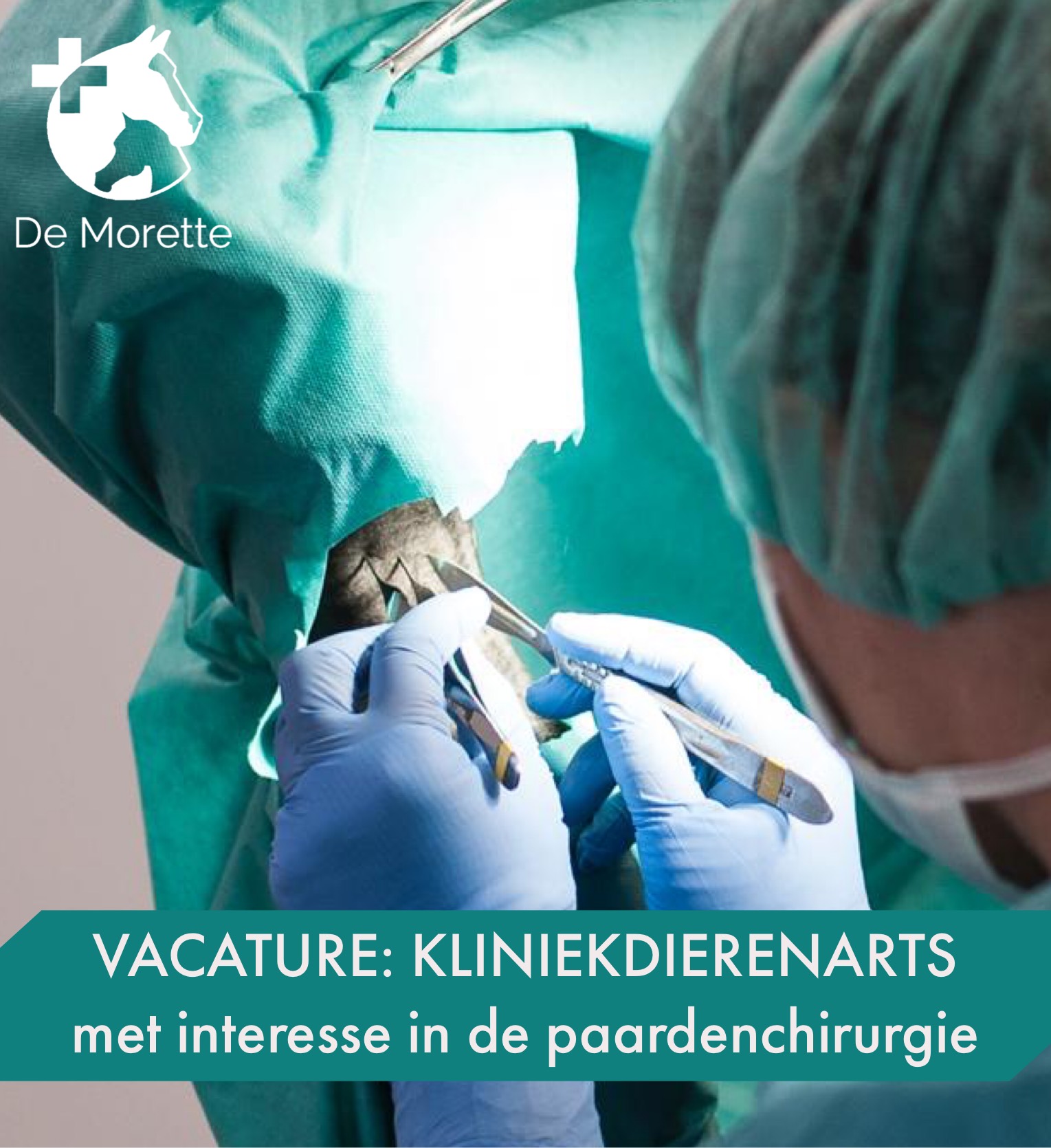 Teammember VACATURE